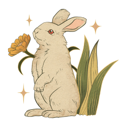 conejo